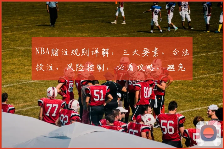 NBA赌注规则详解，三大要素，合法投注，风险控制，必看攻略，避免违规