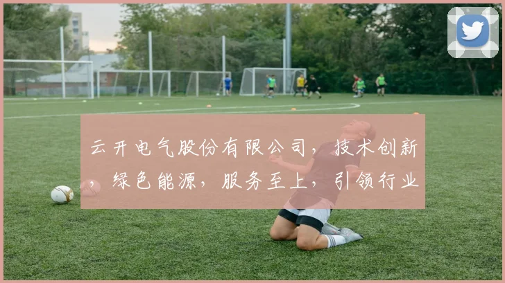 云开电气股份有限公司，技术创新，绿色能源，服务至上，引领行业新潮流