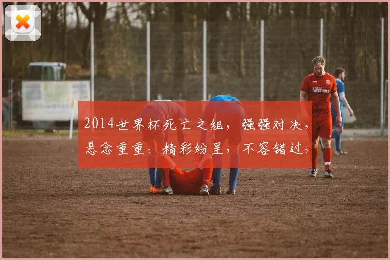 2014世界杯死亡之组，强强对决，悬念重重，精彩纷呈，不容错过，足球盛宴