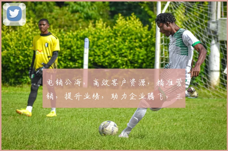 电销公海，高效客户资源，精准营销，提升业绩，助力企业腾飞，三步实现销售突破