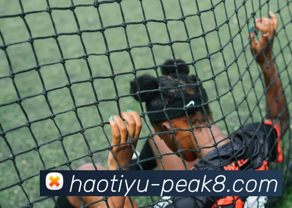 好体育最新官网APP 高清赛事图